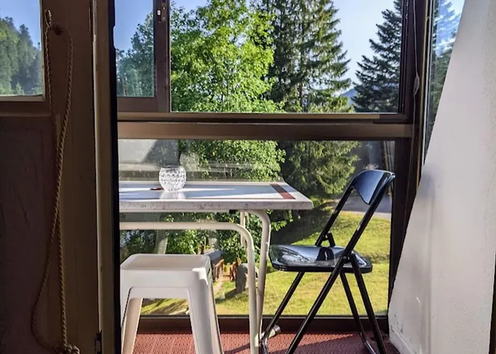 Studio Gil La Bresse Hohneck