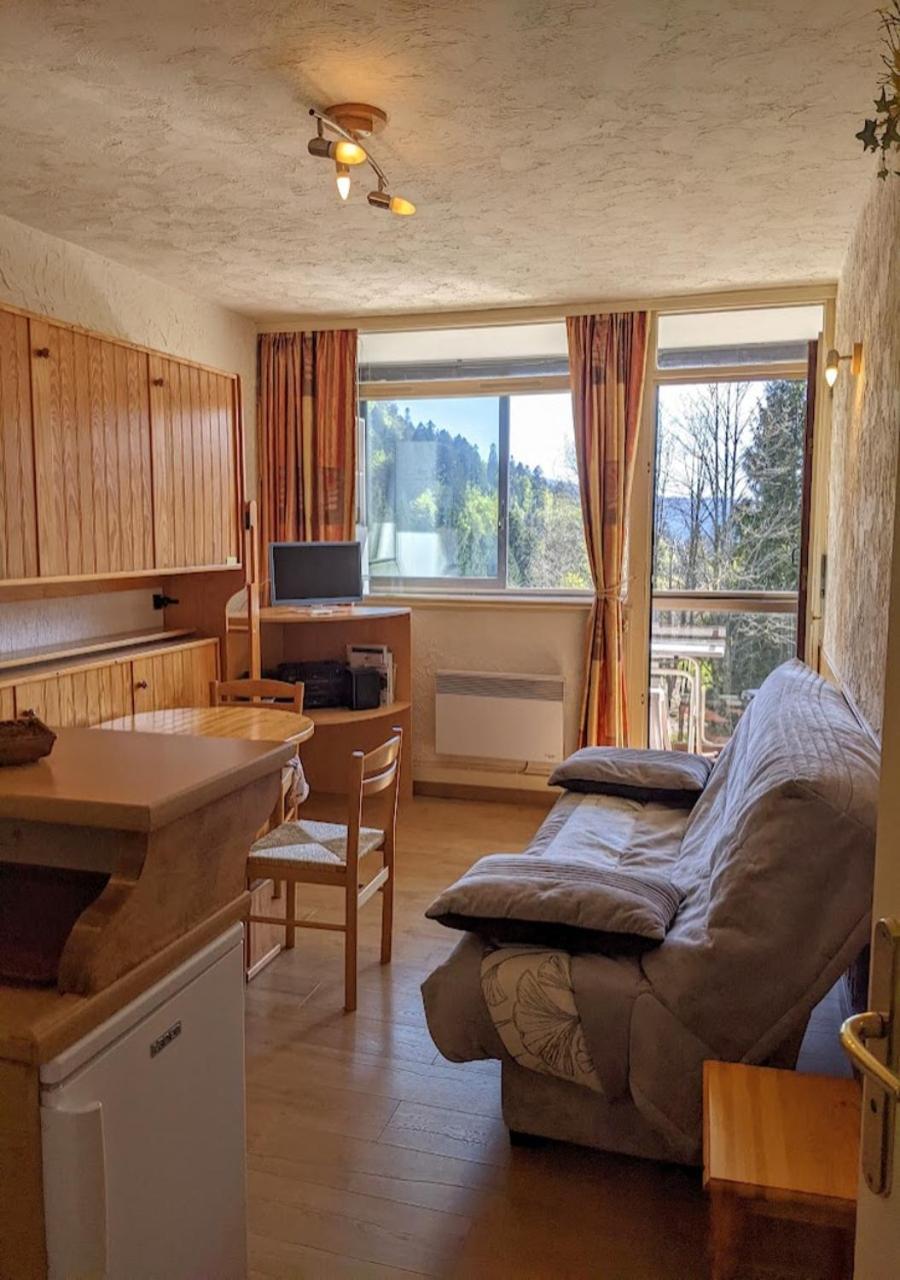 Gil Hohneck Apartment La Bresse